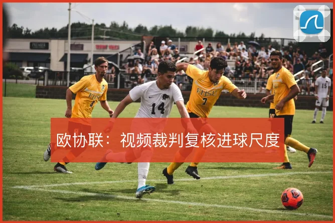 欧协联：视频裁判复核进球尺度
