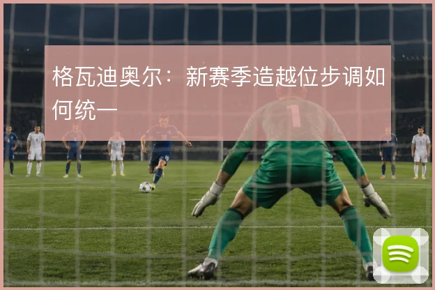格瓦迪奥尔：新赛季造越位步调如何统一