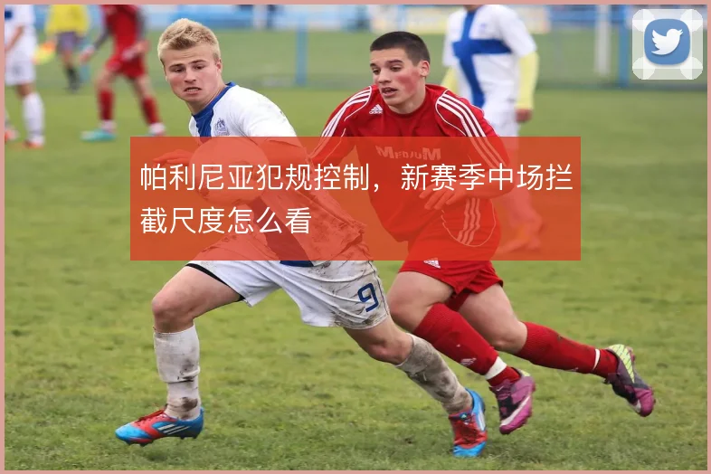 帕利尼亚犯规控制，新赛季中场拦截尺度怎么看